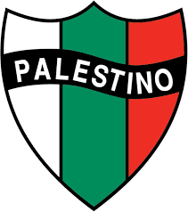 Maglia Palestino